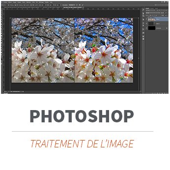Formation PAO et Photoshop à Limoges et partout en France