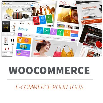 Formation WOOCOMMERCE, créer un site marchand, le E-commerce simple votre boutique en-ligne. Formation à Limoges et partout en France
